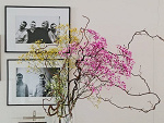 Fotoblog rozalkaolaboga