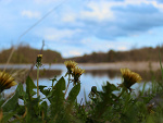 Fotoblog juustyskaa95