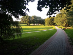 Fotoblog bogat