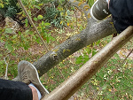 Fotoblog serferr