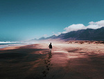 Fotoblog fawnmw
