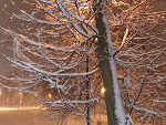 Fotoblog zimnoserc