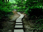 Fotoblog nikkit92