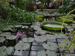 Fotoblog slifq