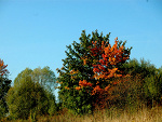 Fotoblog prywata
