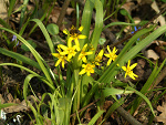 Fotoblog grzegorzf79