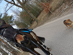Fotoblog marcelina8