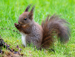 Fotoblog krzysztof56