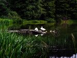 Fotoblog xindependentx2
