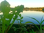 Fotoblog buramarlena