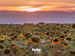 Fotoblog fotoart87