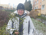Wpis koziorowska
