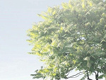 Fotoblog blogergoods1