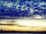 Fotoblog varubarbini