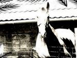 Fotoblog fotomania12