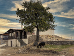Kastro-Greckie klimaty