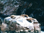 Fotoblog zzachmur