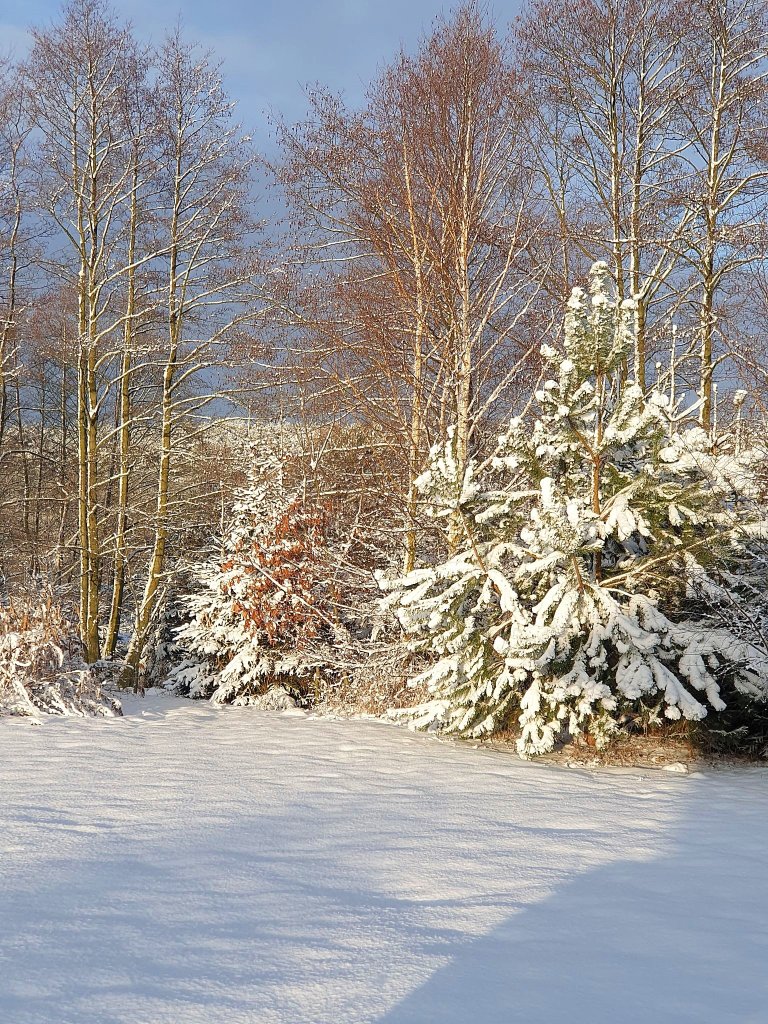 Soneczko piknie wieci..