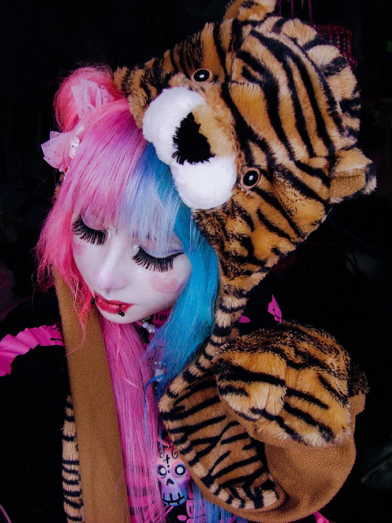 Tygrysek :3