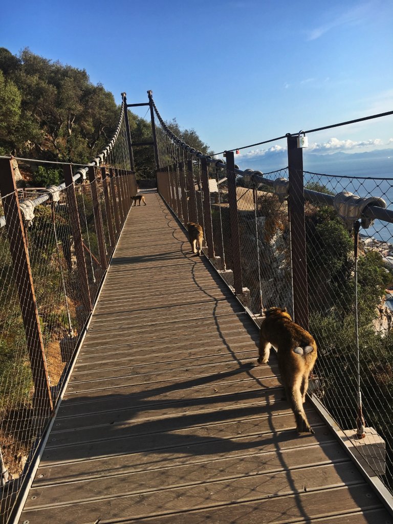 #GIBRALTAR