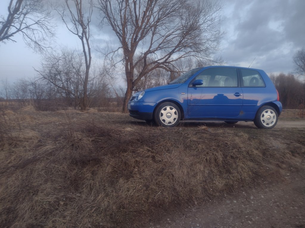 Bb