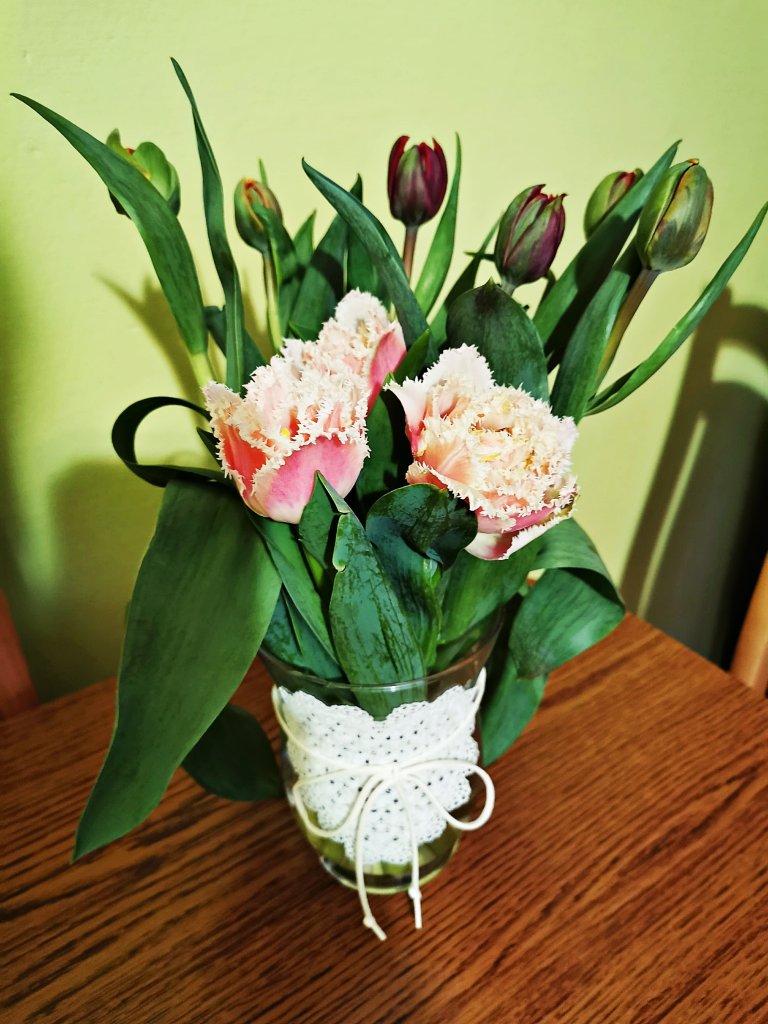 Tulipany.