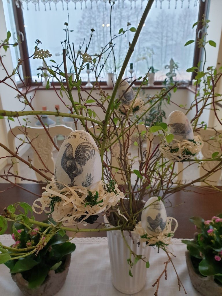 ZDROWYCH SPOKOJNYCH WIT