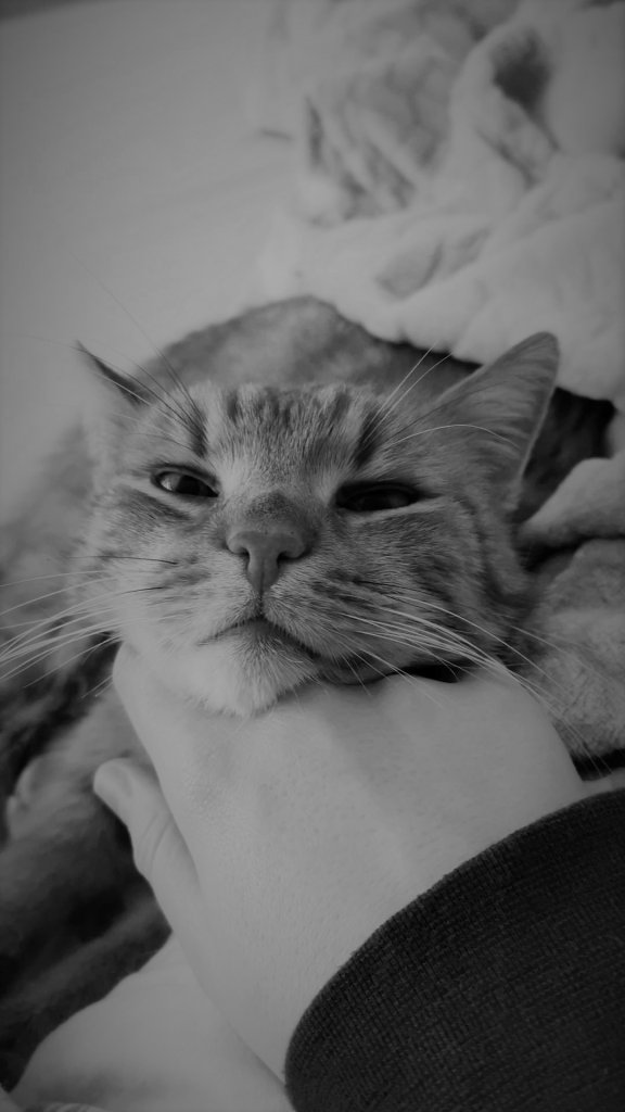 I just want you back  