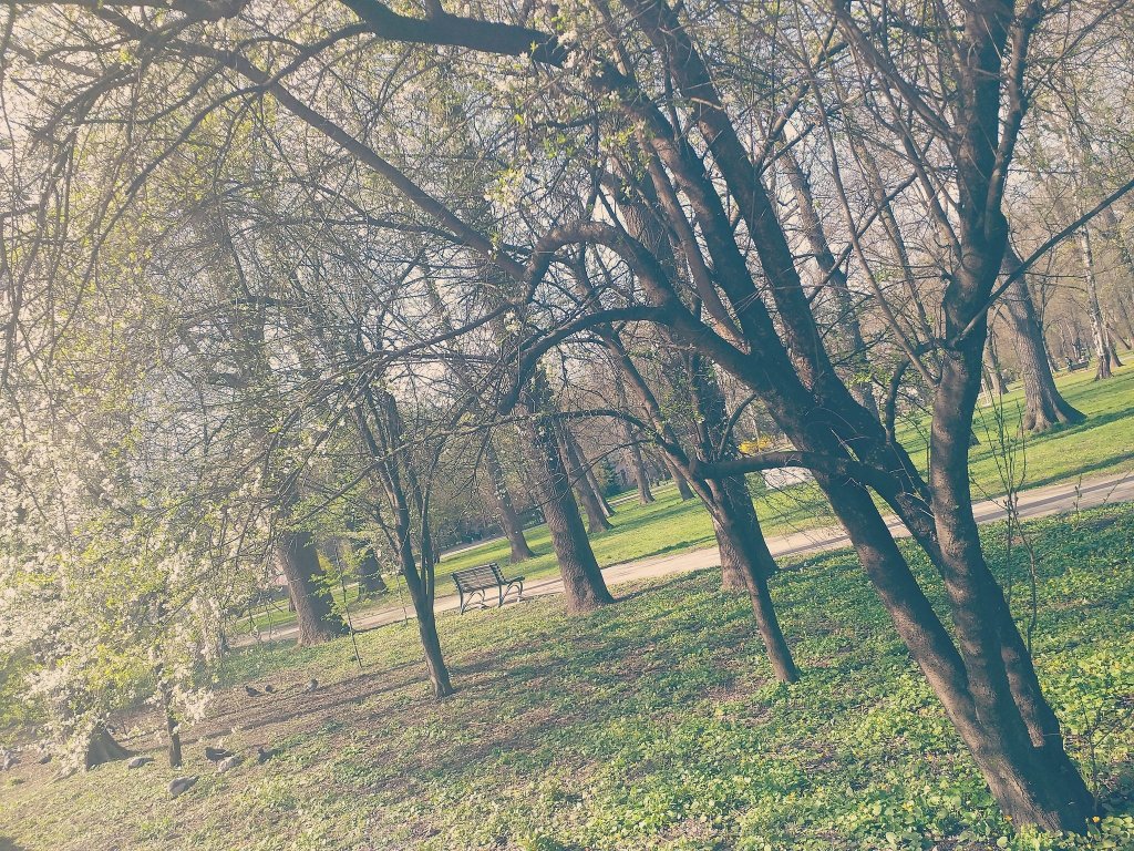 1072.
