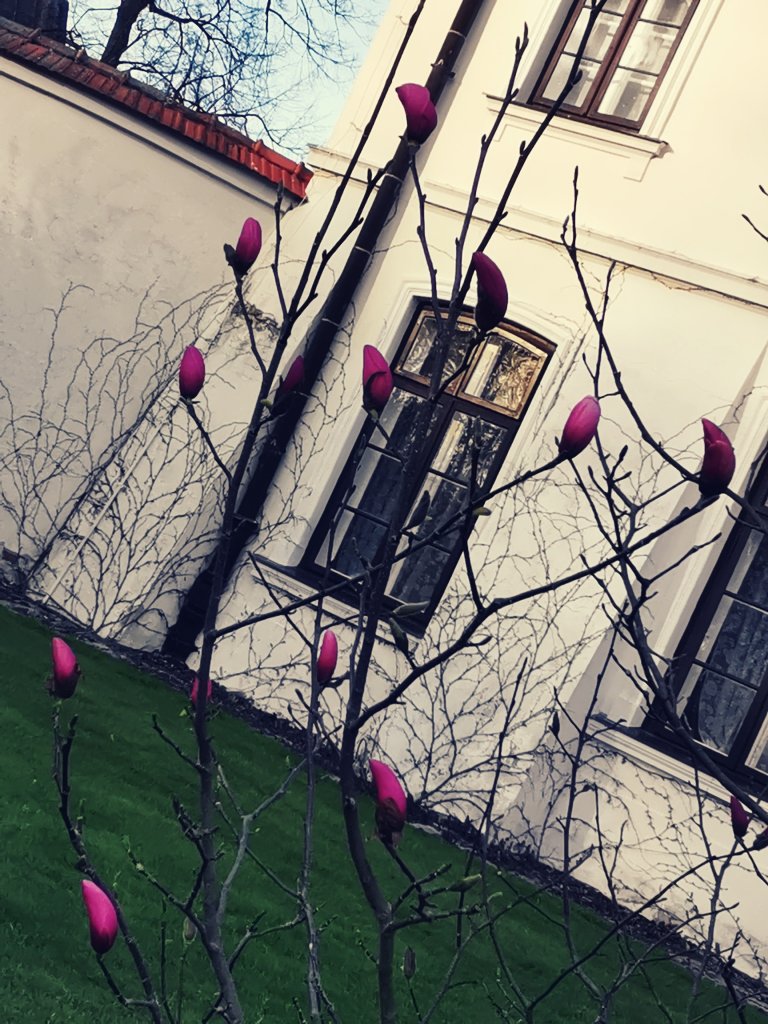 Wiosna 2021 