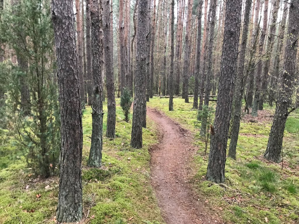 Trail 42k
