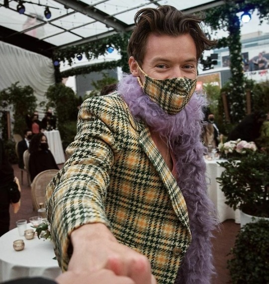Harry Styles.
