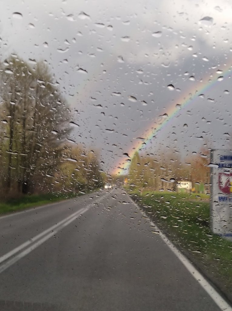 Tcza pogrzebowa