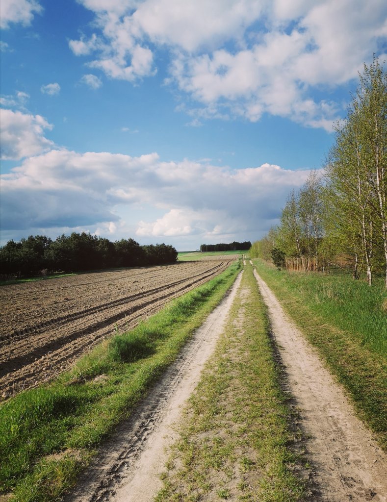 Maj 2021 