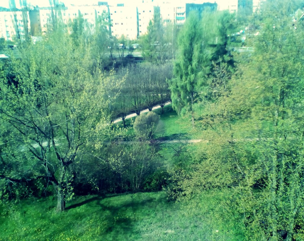 Spotgowane ucielenienie pikna