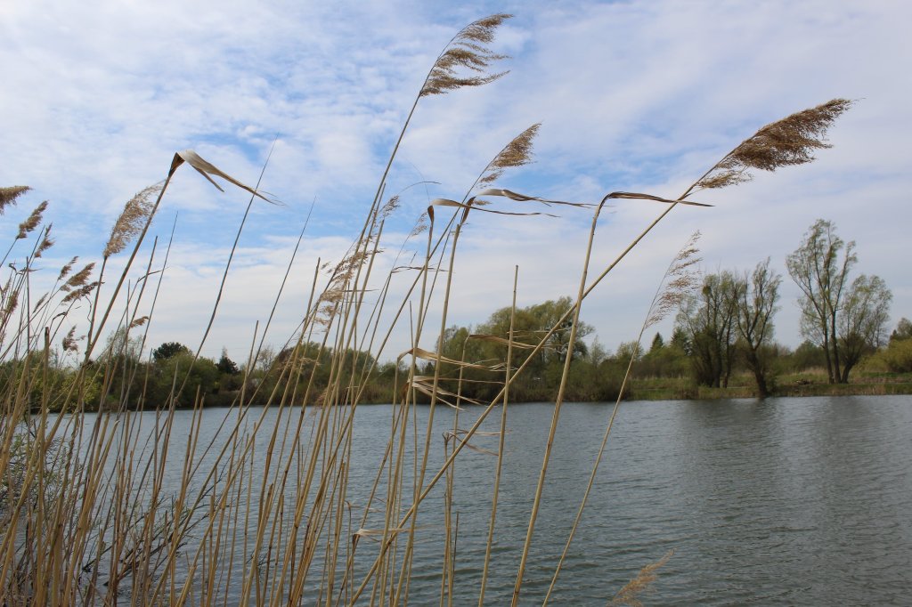 Tczew