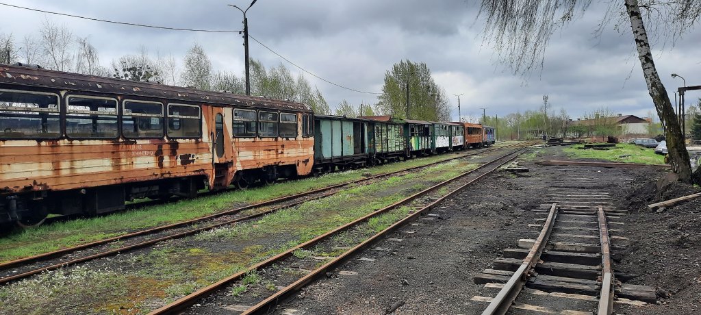 Wskotorwka Bytom 