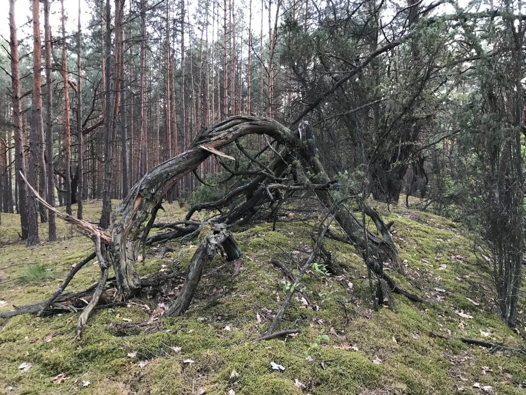 Wieczorne 23k