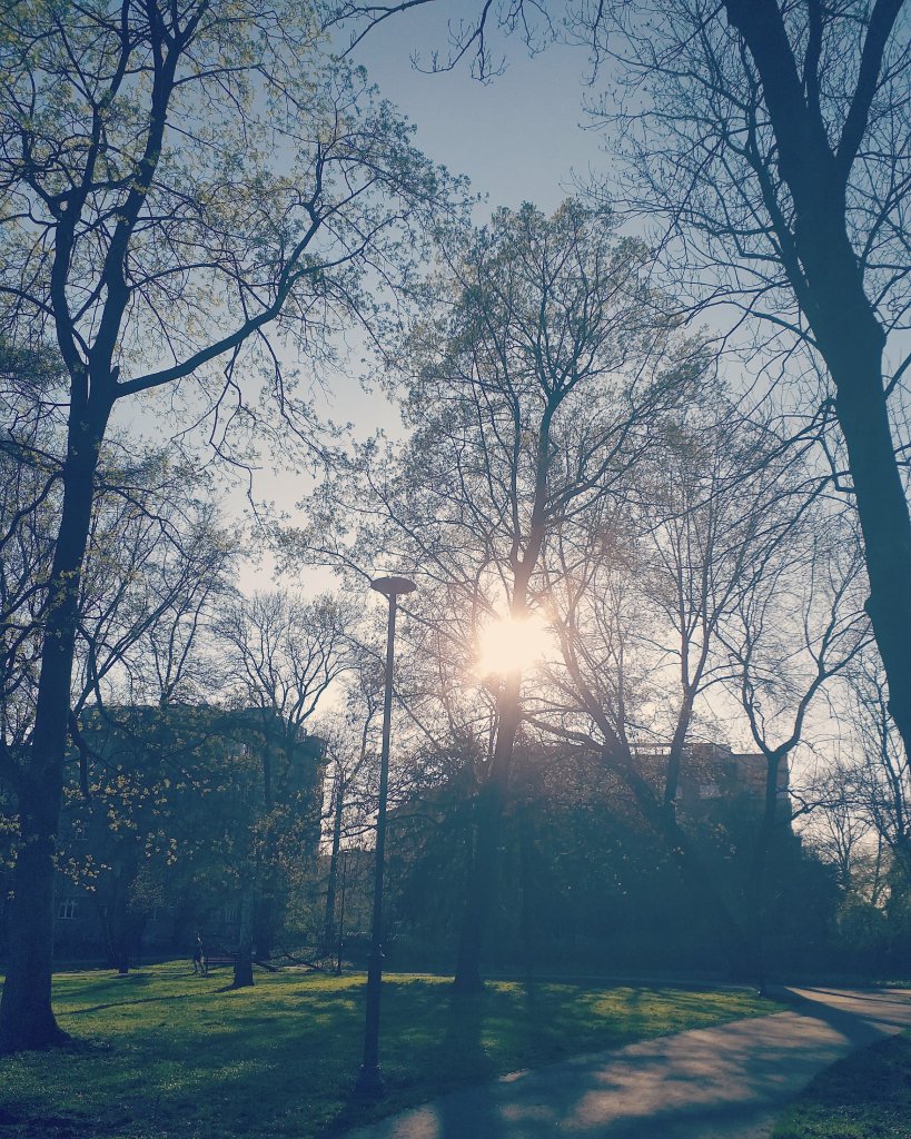 1079.
