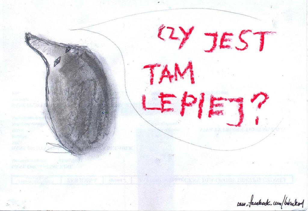 Little Lies.