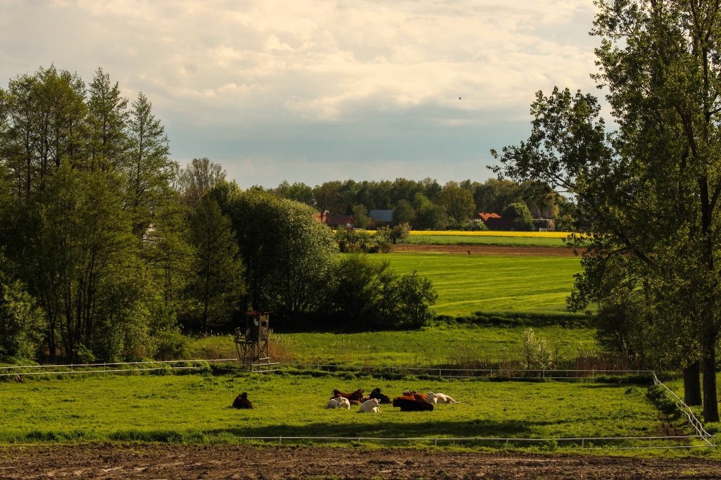 Sielski widok 