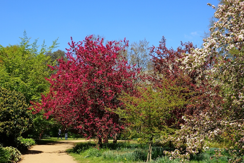 Harris Gardens