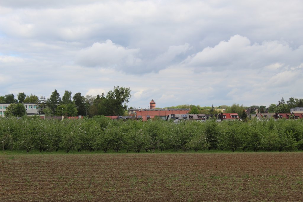 Tczew - wiea cinie
