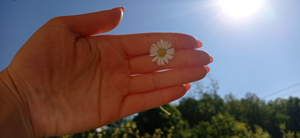 Have a nice day
