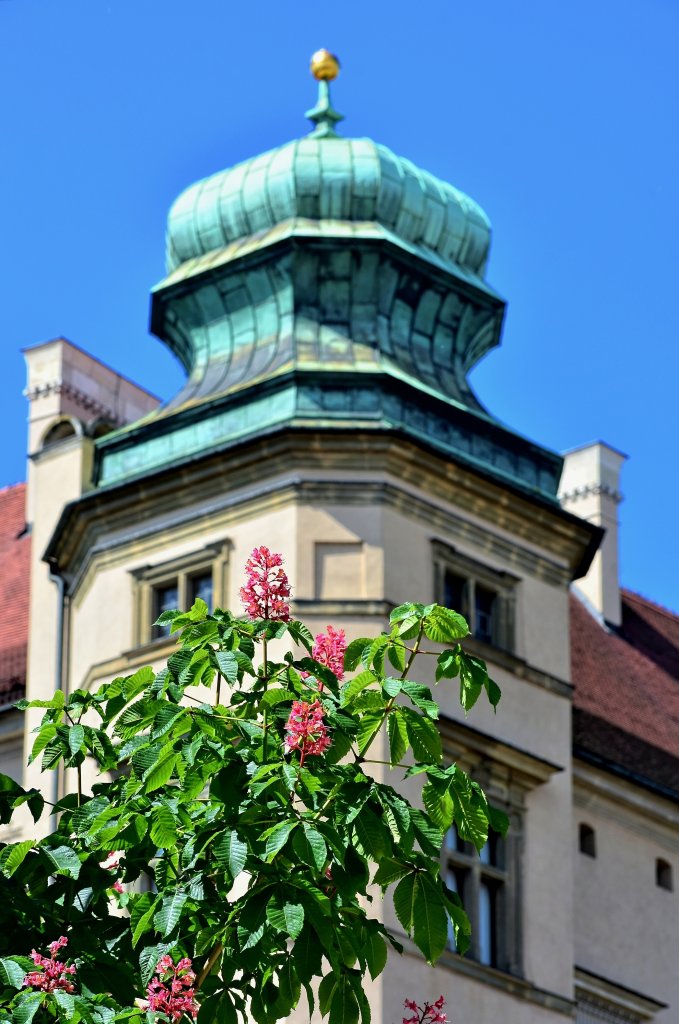 Czas kasztanw 