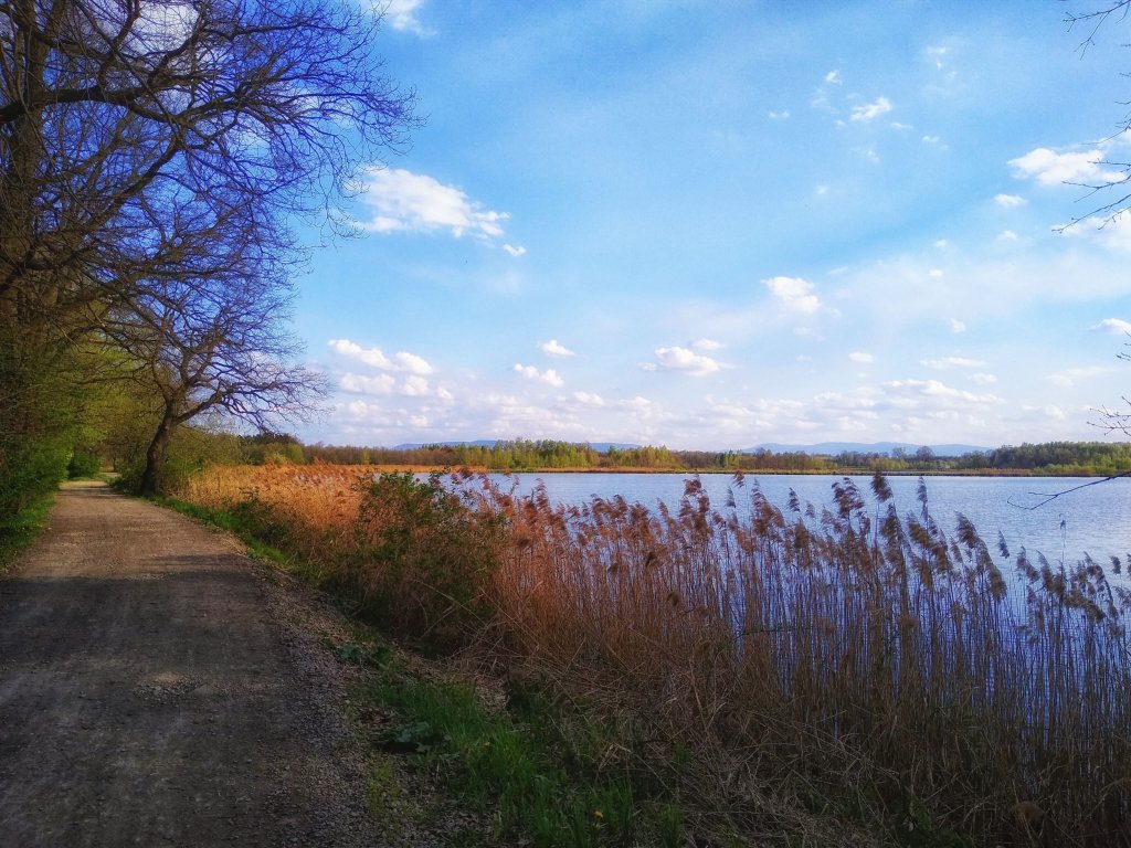 Praesenti