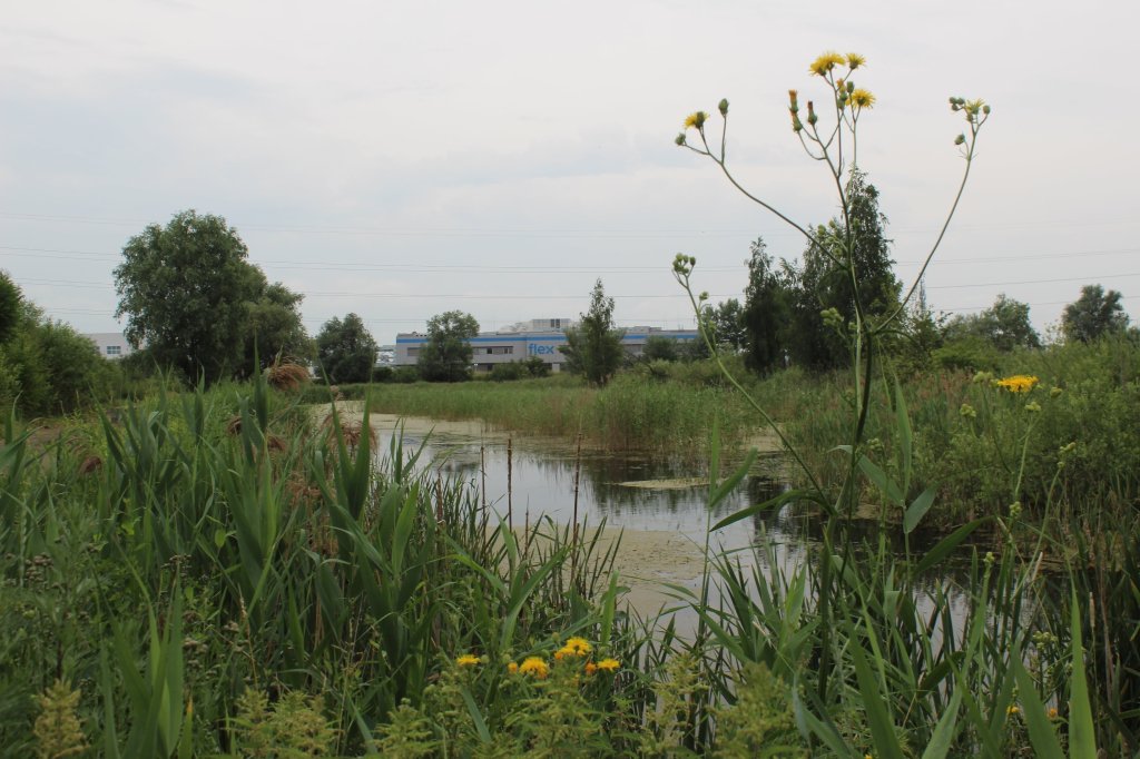 Tczew