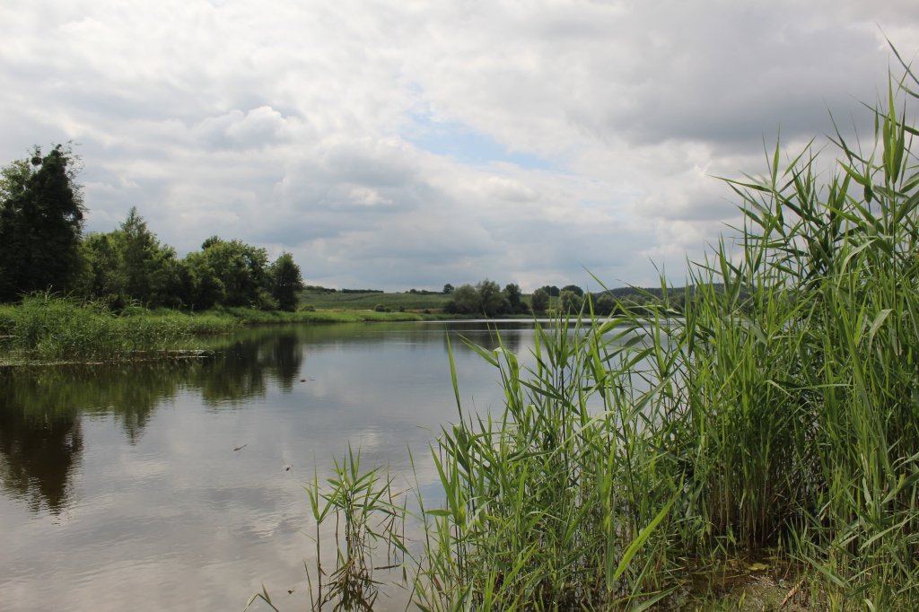 Jezioro Lubiszewskie