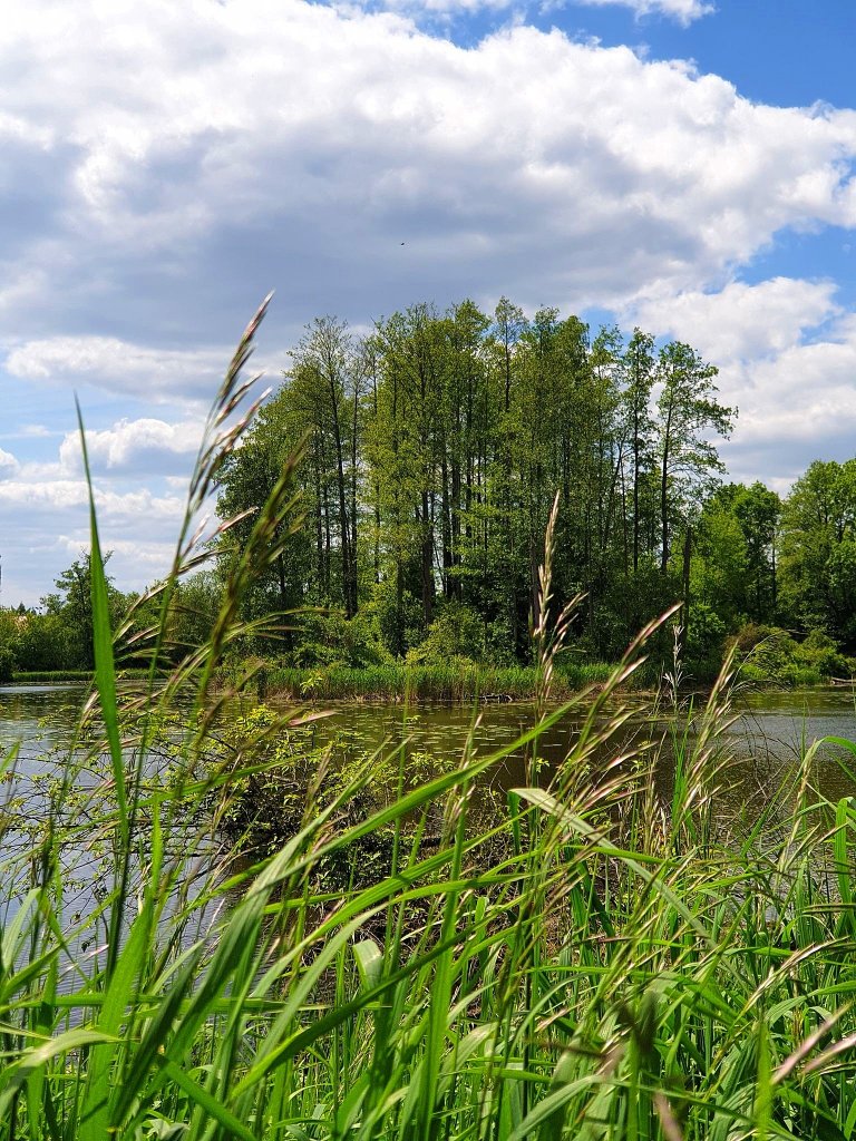 Podlasie..