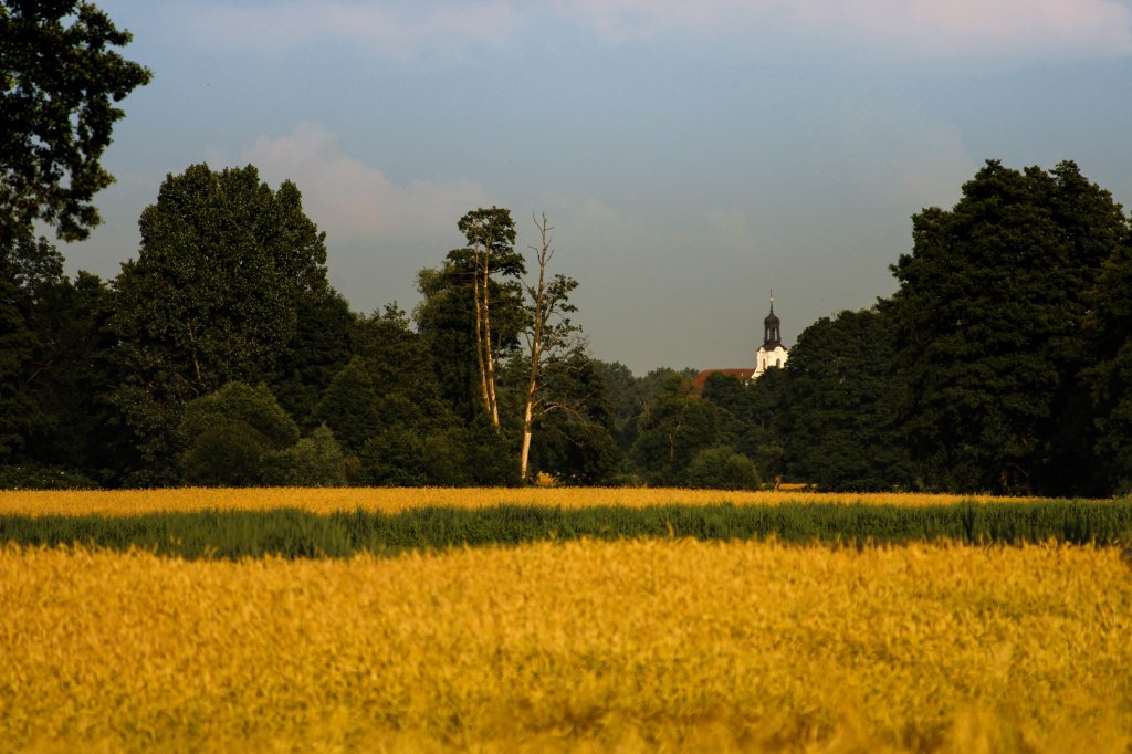 Wielkopolski kadr